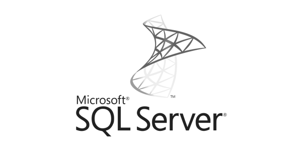 Securing Microsoft SQL Server